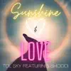 TDL Sky - Sunshine and Love (feat. Shoddi) - Single
